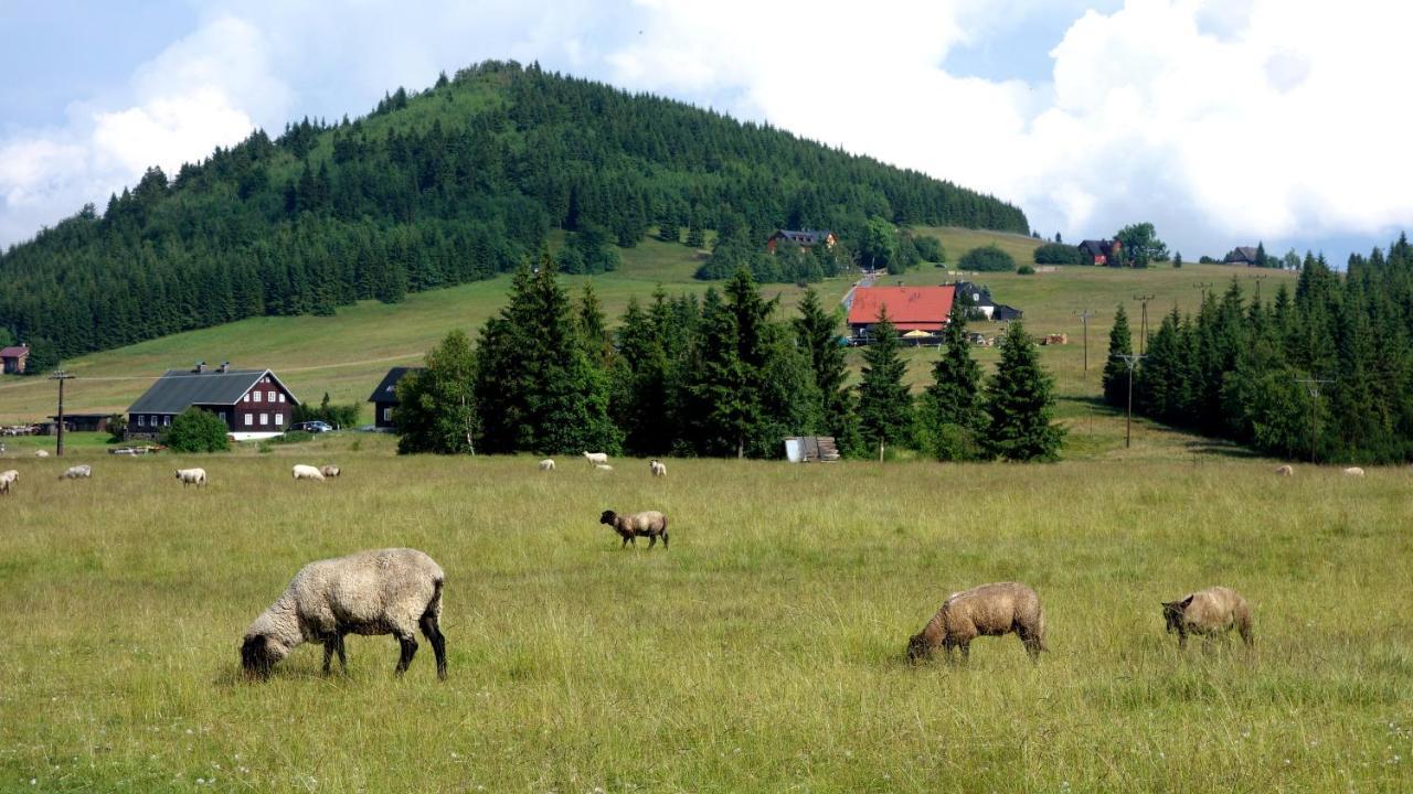 Ski - Apartment Rokytnice nad Jizerou Buitenkant foto